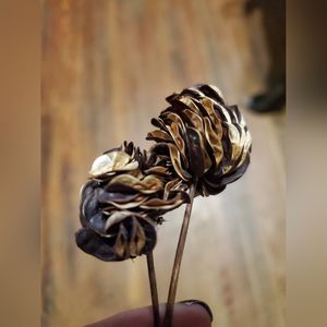 All natural seed pods. Home Decor.  Wedding Decor